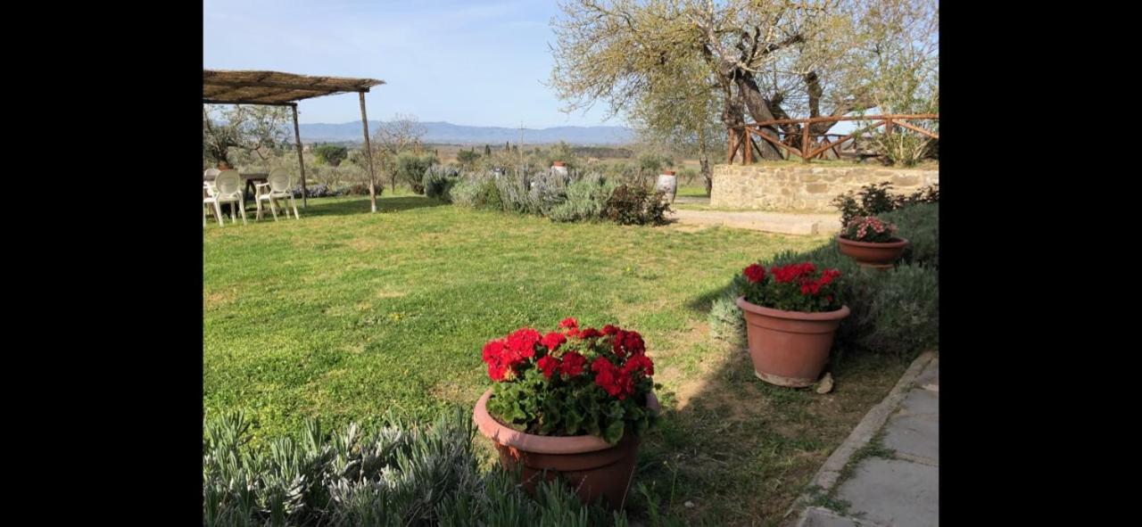 Agriturismo La Posta Reale Castiglion Fibocchi Exteriér fotografie