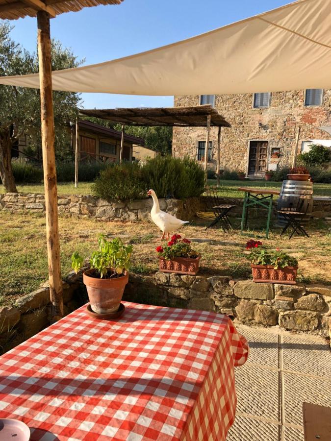 Agriturismo La Posta Reale Castiglion Fibocchi Exteriér fotografie