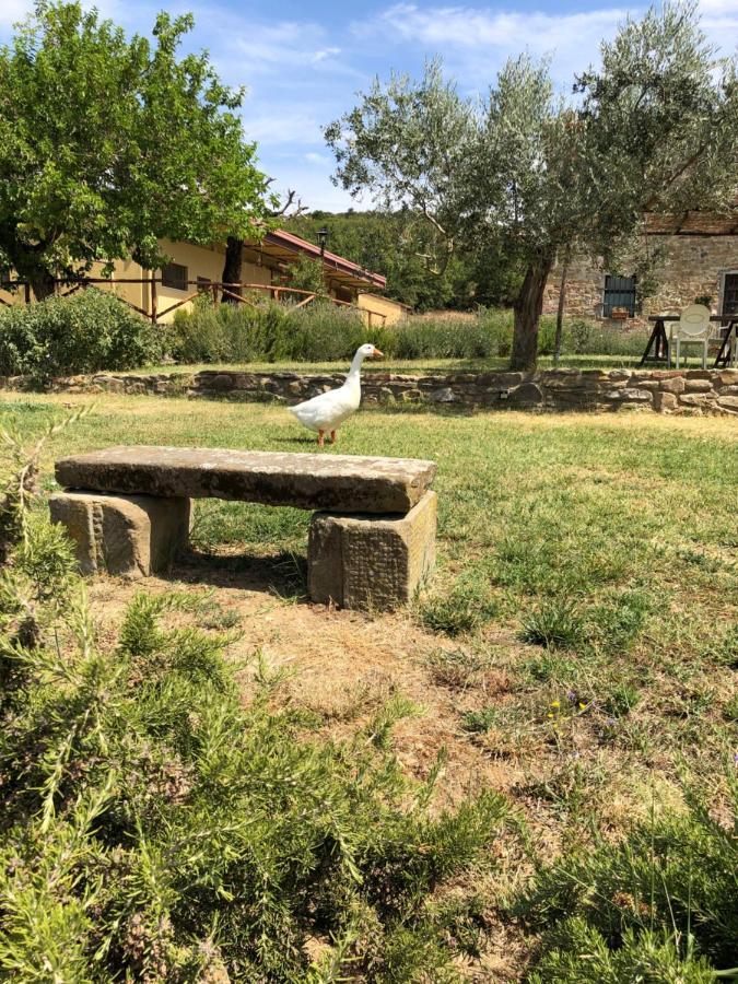 Agriturismo La Posta Reale Castiglion Fibocchi Exteriér fotografie