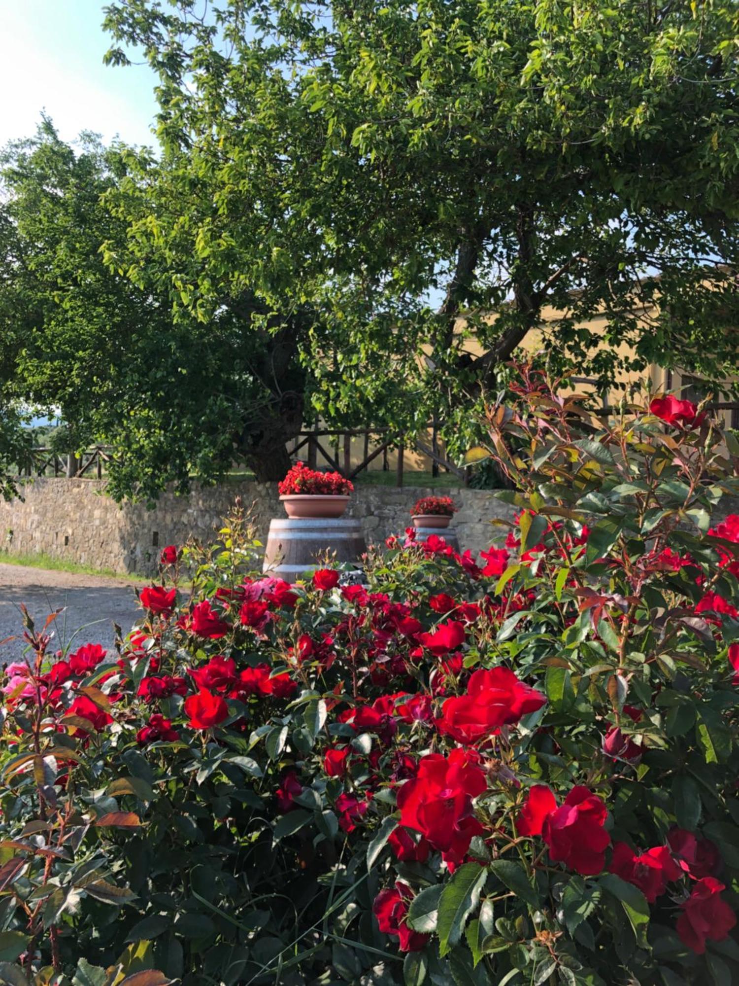 Agriturismo La Posta Reale Castiglion Fibocchi Exteriér fotografie