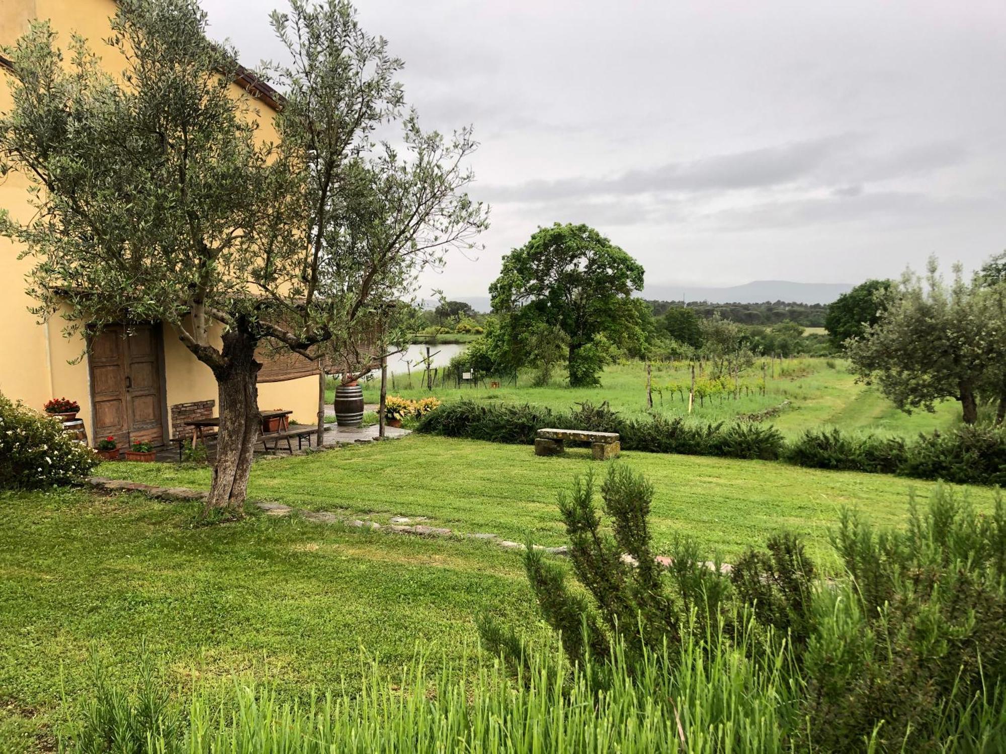 Agriturismo La Posta Reale Castiglion Fibocchi Exteriér fotografie