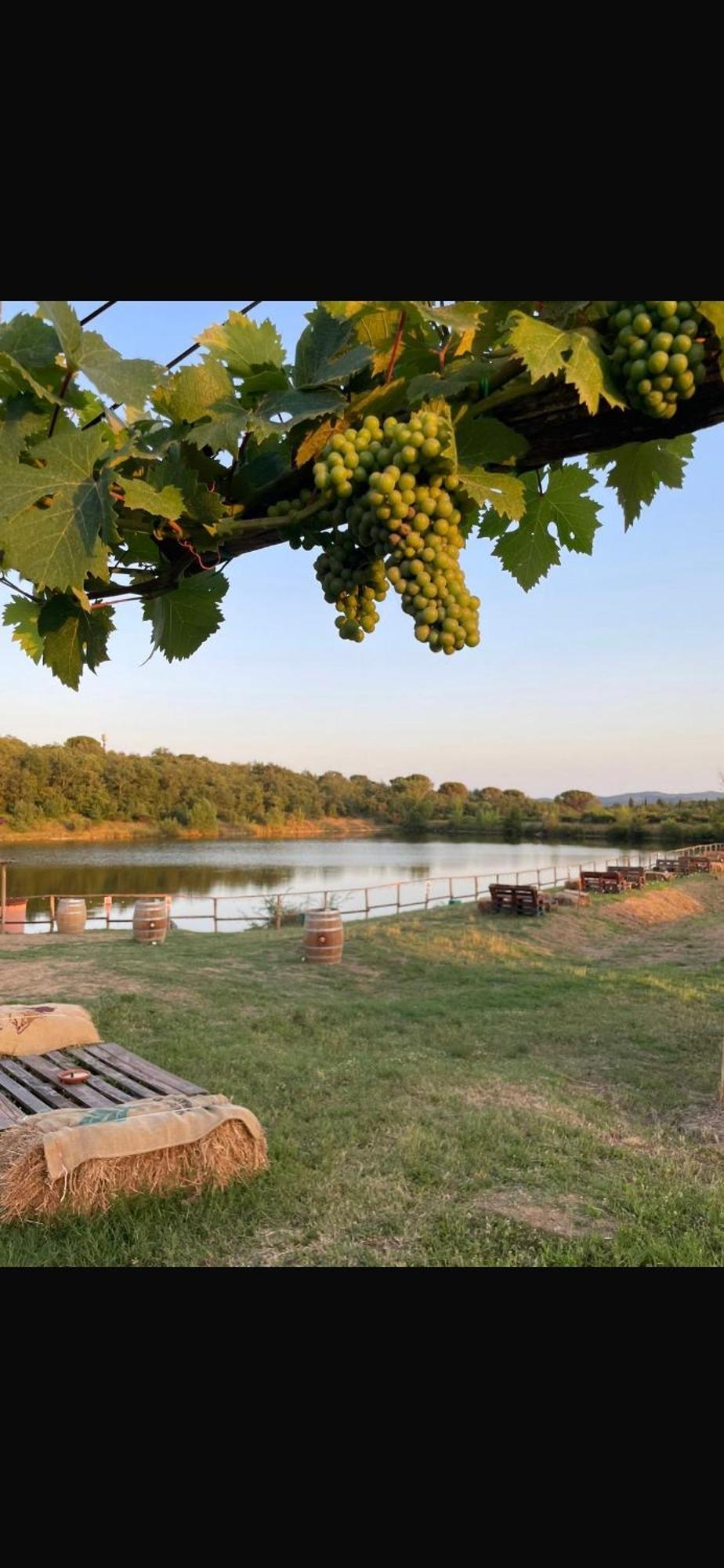 Agriturismo La Posta Reale Castiglion Fibocchi Exteriér fotografie
