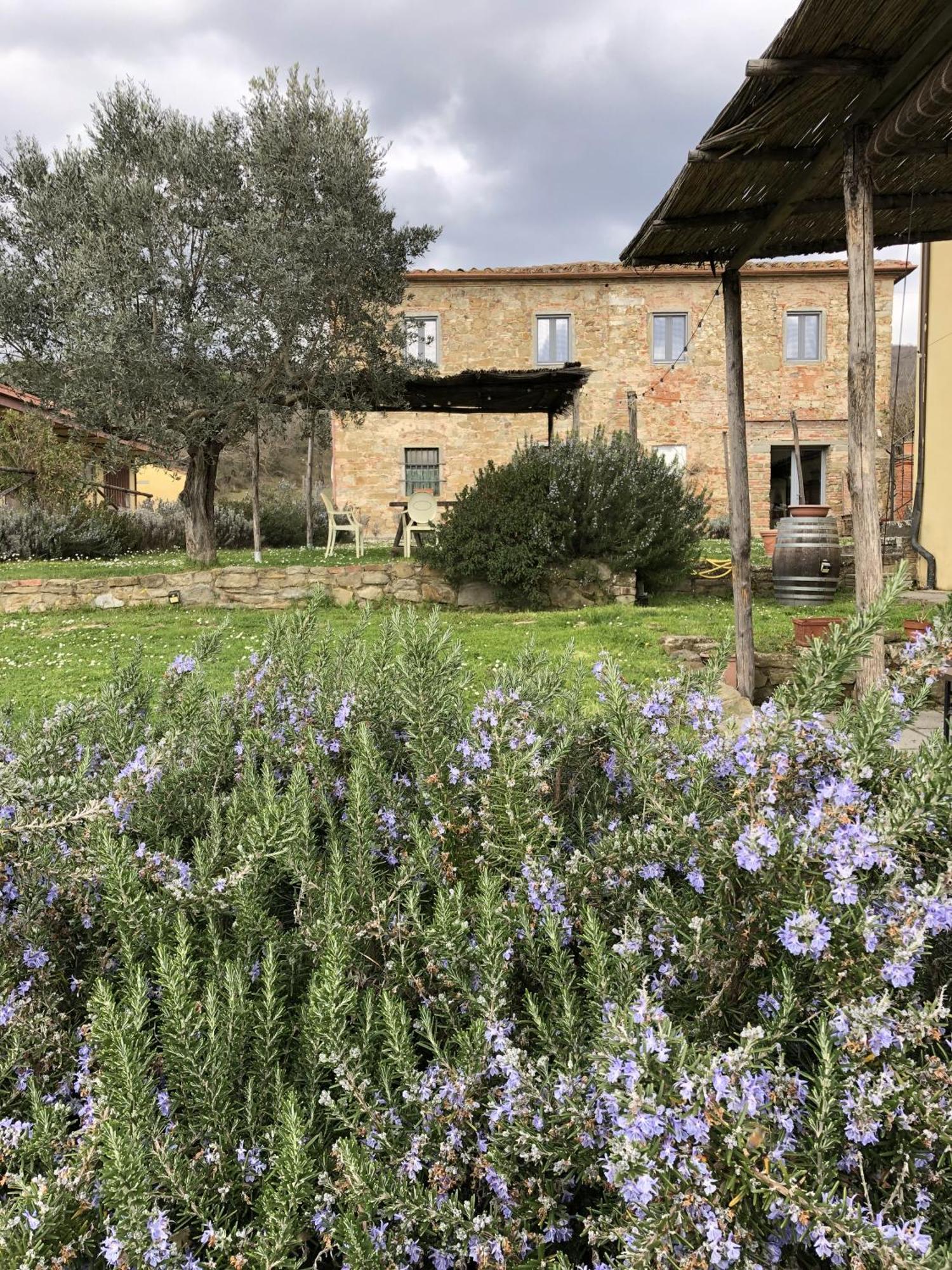 Agriturismo La Posta Reale Castiglion Fibocchi Exteriér fotografie
