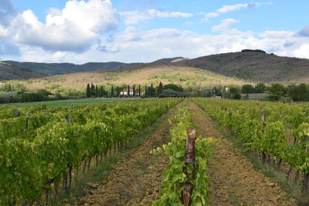 Agriturismo La Posta Reale Castiglion Fibocchi Exteriér fotografie